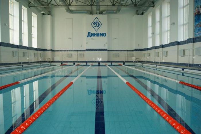 สระว่ายน้ำที่อยู่ Dynamo Novosibirsk